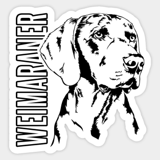 Weimaraner dog lover portrait Sticker